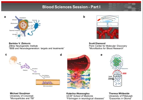 Fig. 1 Blood sciences session—Part I. Part I of the blood sciences session focused on the physiology of the blood and neurovascular unit, gen as a novel molecular link between blood–brain barrier disruption, activation of CNS innate immunity, and neurodege
