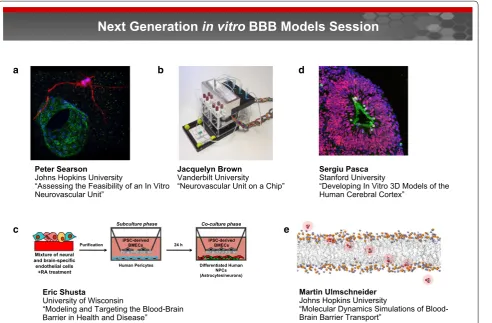 Fig. 4 Next generation in vitro BBB models session. Next generation BBB models span organ-on-a-chip devices and models exploiting organo-genesis, microfluidics, 3D printing, and self-organization