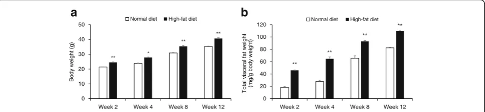 Fig. 2 Time-course changes in body weight and total visceral fat weight during the development of diet-induced obesity