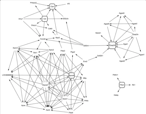 Fig. 4 Virtual network analysis of the selected genes in cluster 4