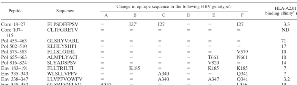 TABLE 2. Peptides used for analysis of HBV-speciﬁc CD8�-T-cell responses