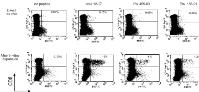FIG. 3. Analysis of IFN-�directly ex vivo in PBMC (upper dot plots) or after 10 days of in vitro expansion with the corresponding peptides (lower dot plots)