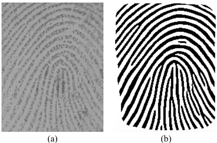 Fig. 3 The optimized new FNN with five layers. 
