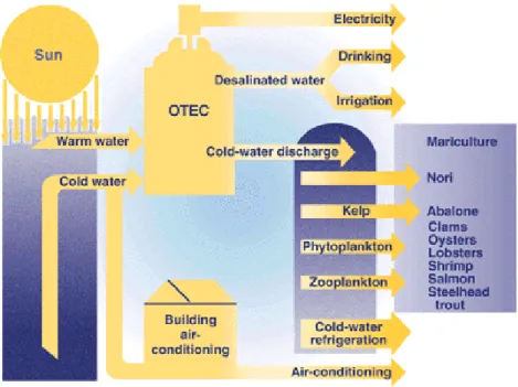 Figure 10: Block diagram of all applications from OTEC technology 