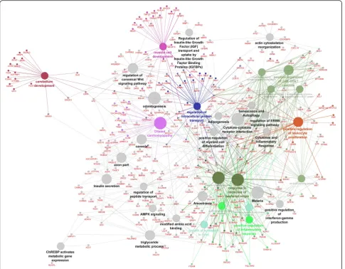 Fig. 4 The gene network and biological processes for all DEGs. Figure generated by Cytoscape-ClueGo