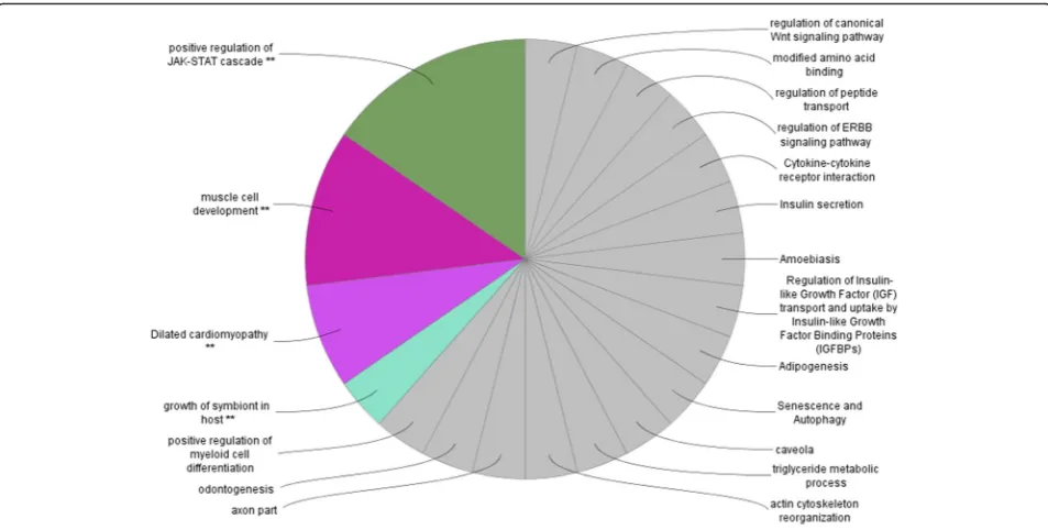 Table 6 Functional clusters for genes expressed only in E dietgroup