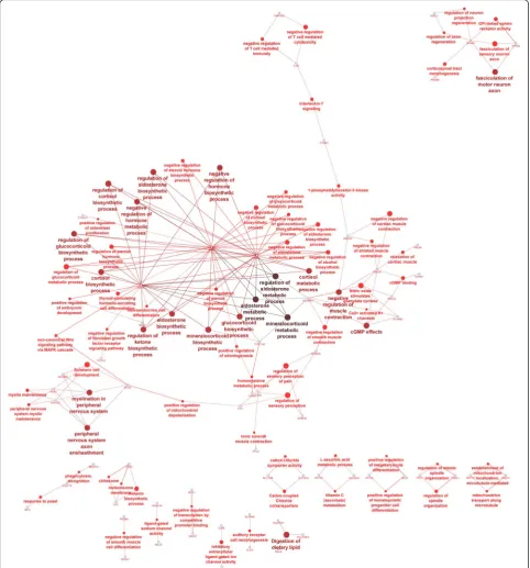 Fig. 6 The gene network and biological processes for genes specific to experimental (E) group
