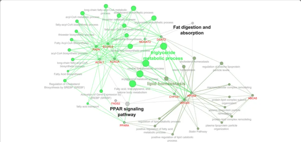 Fig. 3 The gene network pathways related to fatty acid metabolism. Visualization generated by Cytoscape-ClueGo software after selection criteria:at least three genes per one pathway node and 4 % of the associated genes from all genes in one node
