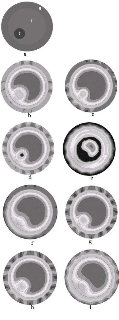 Figure 2(b) gives the reconstructed image of athe second term in equation (23). It is shown by comparison of next three images