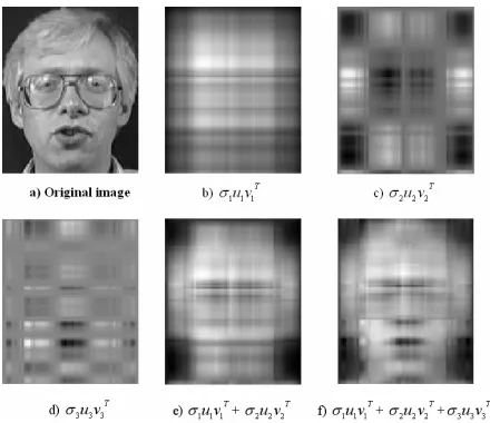 Fig. 7 a) Original image b, c, d, e and f are approximations of the original image. 