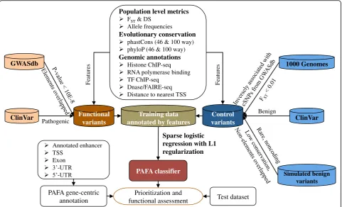 Fig. 1 Flowchart of the PAFA approach. The flowchart contains the construction of the PAFA classifier and the gene-centric annotation