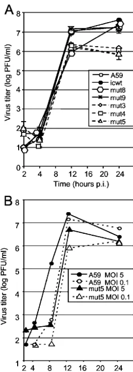 FIG. 4. Growth of CS1 mutant viruses in DBT cells. (A) Growth ofCS1 mutants at an MOI of 0.1 PFU/cell