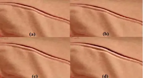 Figure 4. The same four frames with subtle motion in zipper amplified using EVM  