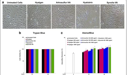 Fig. 1 Effects of Hyalgan®, Artrosulfur HA®, Hyalubrix® and Synolis-VA® on morphologic change cell viability and cell metabolic activity