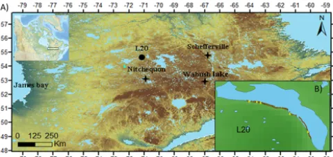 Figure 1. (a)the sampling location of subfossil stems (brown marks) and livingtions (black stars)