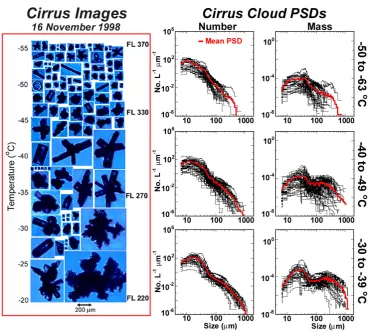 Fig. 1.Figure 1. Example of (left) vertical profile of CPI images in a deep orographically generated  Example of (left) vertical proﬁle of CPI images in a deep orographically generated cirrus, and (middle and right panels) number andcirrus, and (middle and