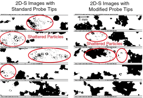 Fig. 5. Figure 5.   Examples of 2D-S images from two 2D-S probes ﬂown side-by-side on the SPEC Learjet (Fig