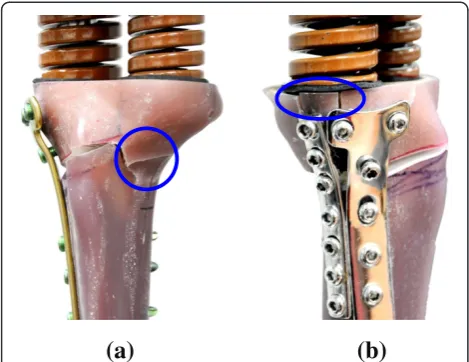 Fig. 4 The failure modes of the static tests. a TomoFix system.b T + I system