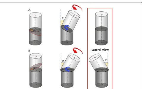 Figure 3 The varization and rotation model.
