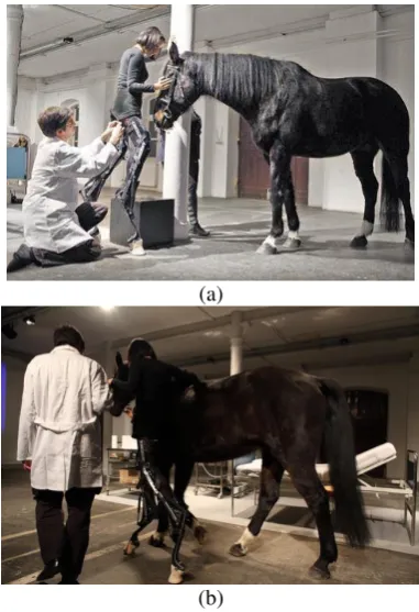 Fig 6: Interactive of cybernetic and art. 