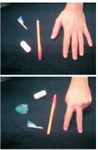 Fig. 1. Examples of objects in the scene 