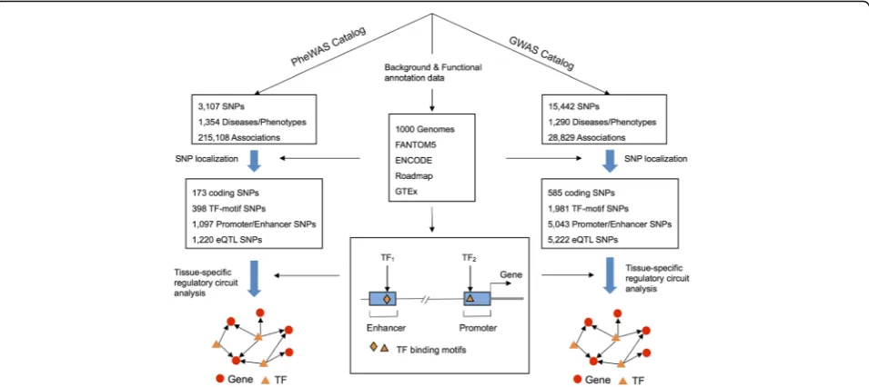 Fig. 1 Diagraminformation, including proteinregulatory circuit analysis. All detailed data are provided in Additional files 1 of an integrative functional genomics workflow