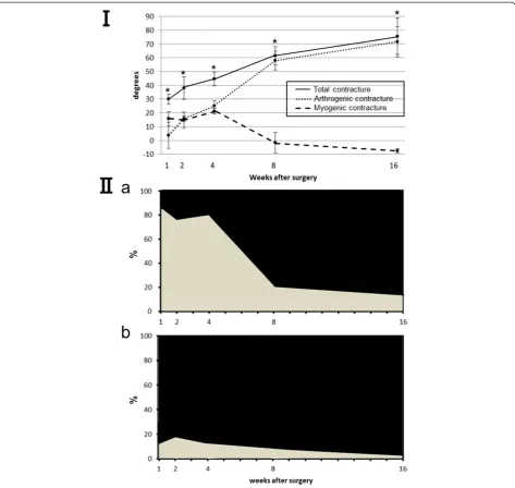 Figure 2 The myogenic and arthrogenic contractures in immobilized knee joints over time