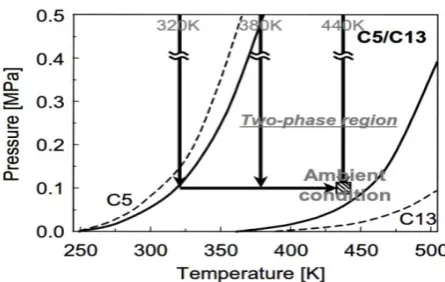 Figure 4 .Three-dimensional CFD model of chamber 