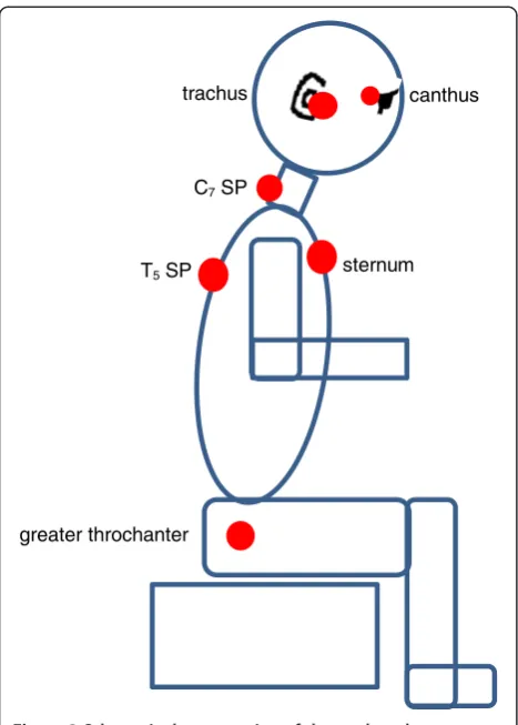 Figure 3 Schematic demonstration of the marker placement.