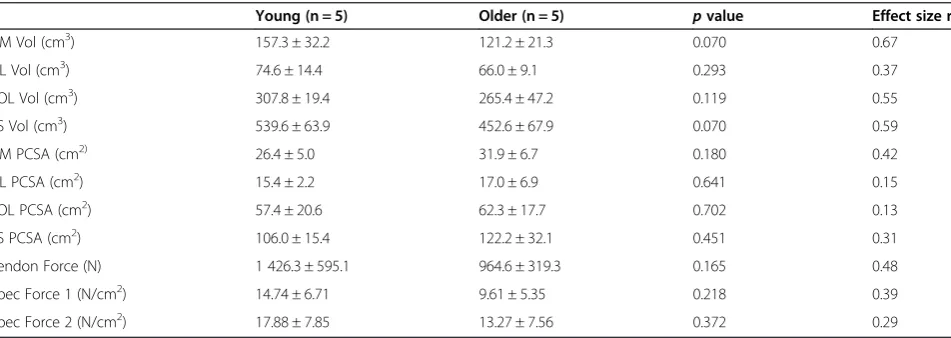 Table 1 Triceps Surae muscle volumes, force and specific force in young and older cohort