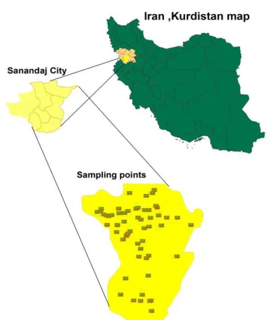 Figure 1. Location and sampling points of study  area 