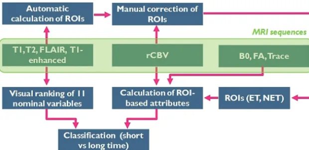 Fig 1. Pipeline of the computer-based methodology for prediction of survival (long/short � more/less than 18 months)