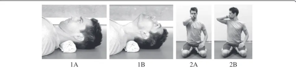 Fig. 2 Conditioning exercises for the neck. Conditioning exercises for the deep cervical flexors (Exercise 1cervical flexor and extensor muscles of the neck (Exercise 2 a + b) and co-contraction between a + b)