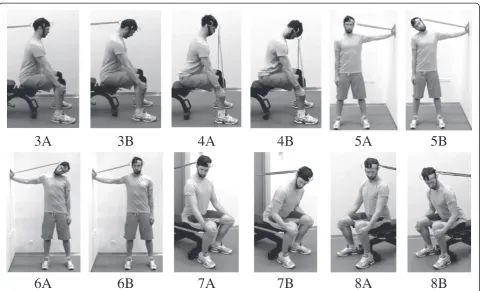 Fig. 4 Training exercises for the shoulders. Training exercises for muscles in the shoulder girdle: shrugs (Exercise 9(Exercise 10 a + b) and reverse flies a + b)