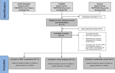 Fig. 1 Study selection process