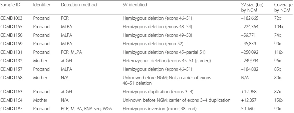 Fig. 1 DNA labeling for NGM. The DNA labeling workflow is dividedinto four consecutive steps