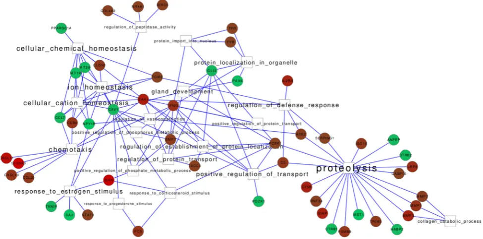 Fig. 2 Network of ZNP interactions extracted from the microarrayregulated genes,and interactions by edges.experiments of Noble et al