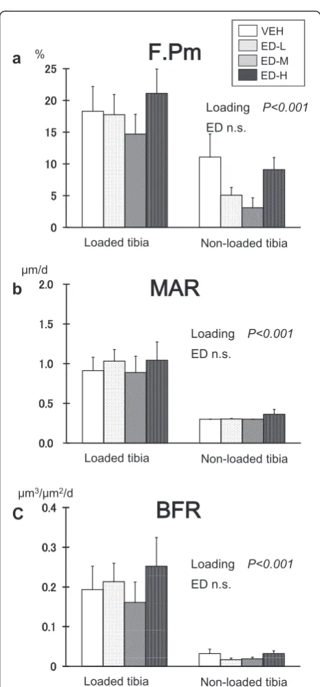 Table 2 Cortical area measurements