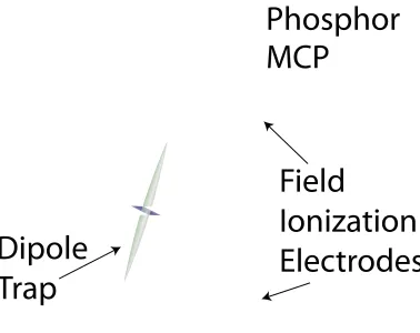 Figure 2.10: Qualitative view of beam geometry in the Rydberg excitation region and the detectionelectronics used for determining the number and state distribution of excited Rydberg atoms.