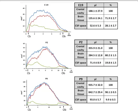 Table 2 CSF compartmentalization in the different fluid-filled spaces of the developing brain