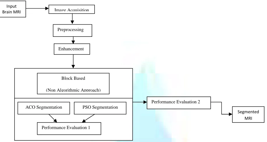 FIG 1:  THE STRUCTURE OF BRAIN TUMOR MR IMAGE SEGMENTATION 