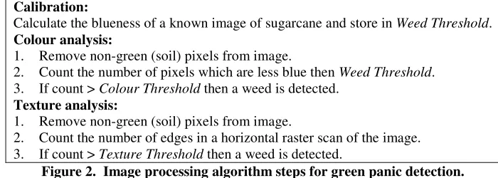 Figure 2.  Image processing algorithm steps for green panic detection. 