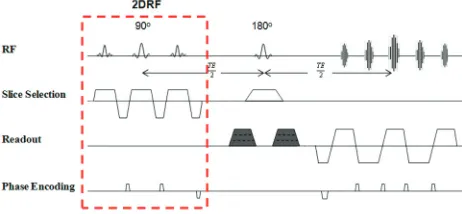 Fig 1. Schematic timing diagram of the diffusion sequence encoding scheme. The iFOV EPIsequence was based on 2D-RF excitations as described in Finsterbusch.18