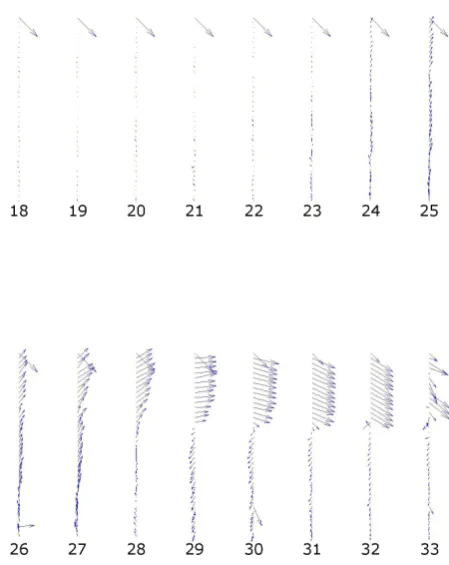 Fig. 7. Averaged displacement ﬁeld within the lower rectangle during the initiation of the catastrophic fracture Averaged displacement ﬁeld within the lower rectangle dur-ing the initiation of the catastrophic fracture (Fig