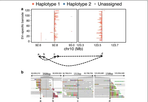 Fig. 3 Complex breakpoint resolution using molecular barcode mapping.duplication SV in the right metastasis are plotted according to the mapping location of molecular barcoded reads