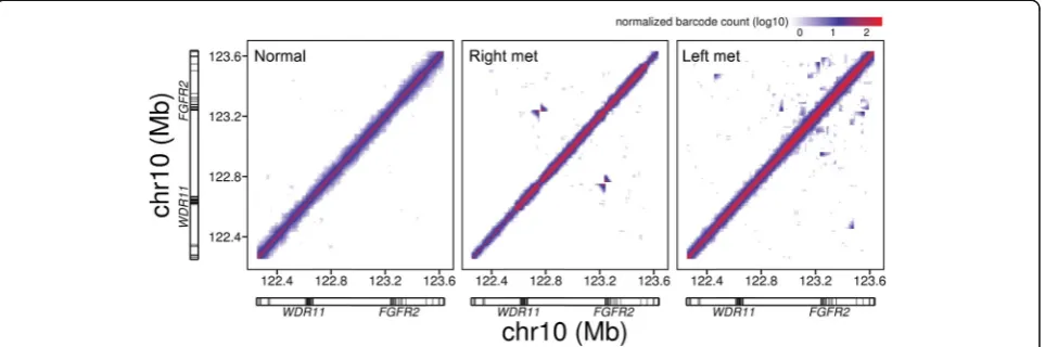 Fig. 1 Barcode overlap plots of the genomic region surrounding the proto-oncogeneoverlap (a 1.4-Mb genomic region including FGFR2