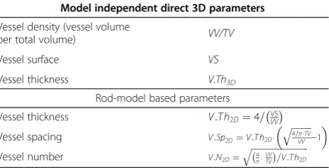 Table 1 Parameters to quantify vascularization