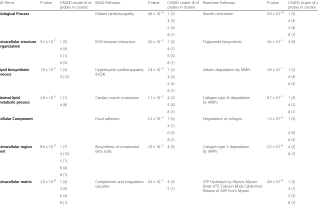 Table 1 Functional interpretation of genes associated with immobilization-induced knee joint contractures