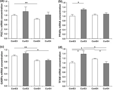 Fig. 2 Expression offactor A (TFAM) mRNA in the cortex of control and curcumin-supplemented APOE3 and APOE4 mice