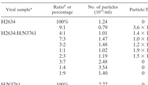 FIG. 1. Plasmid mixing approach used to generate transcapsidated rAAV. Helper plasmid DNA containing the capsid gene from any two AAVserotypes (one is represented by a red capsid gene, and the other is represented by a blue capsid gene) was cotransfected at different ratios (19:1,